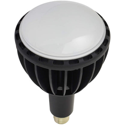 日動工業 LED交換球 エコビック / ハイスペックエコビック 100W / 50W / 40W 口金E39