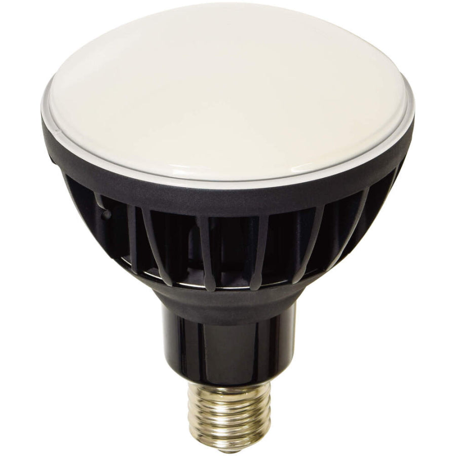 日動工業 LED交換球 エコビック / ハイスペックエコビック 100W / 50W / 40W 口金E39