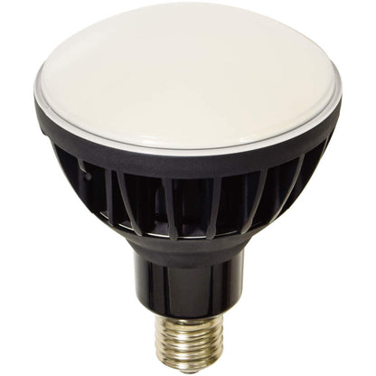 日動工業 LED交換球 エコビック / ハイスペックエコビック 100W / 50W / 40W 口金E39