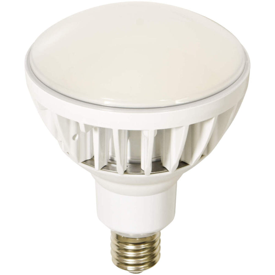 日動工業 LED交換球 エコビック / ハイスペックエコビック 100W / 50W / 40W 口金E39