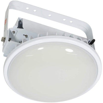 日動工業 ハイスペックハイディスク 吊下げ型 300W / 200W / 150W / 100W AC100/200V兼用 常設用LED照明