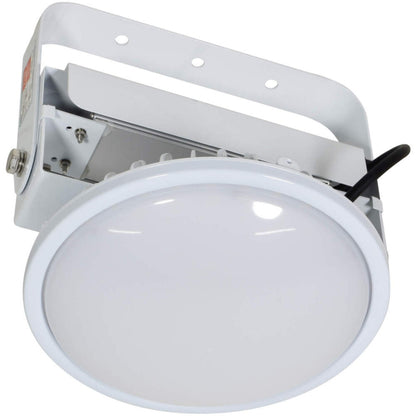 日動工業 ハイスペックハイディスク 吊下げ型 300W / 200W / 150W / 100W AC100/200V兼用 常設用LED照明