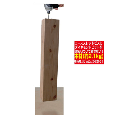 SUNFLAG サンフラッグ ダイヤモンド強鉄ビット 細太コンビタイプ TDS-2065 TDS-2085 TDS-2110 TDS-2125 TDS-2150 +2×65 +2×85 +2×110 +2×125 +2×150 両頭ビット 6.35mm